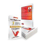 Use What's Left | 7 Strategies to Optimize Your REBOUND from Setback